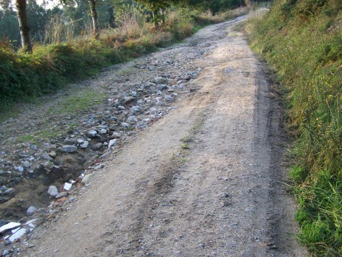 Lamentable estado da pista forestal do Pituco.