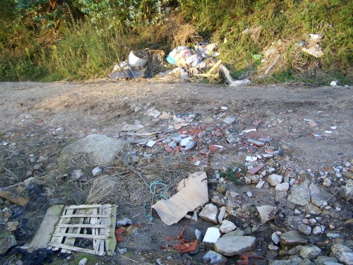 Lamentable estado da pista forestal do Pituco.