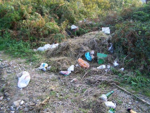 Lamentable estado da pista forestal do Pituco.