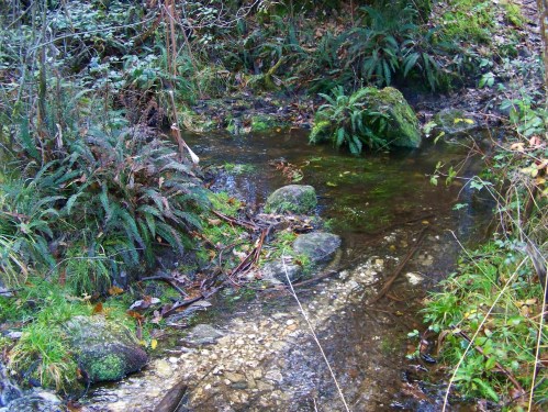 Ruta por Pastoriza coa Plataforma Montes do Morrazo.