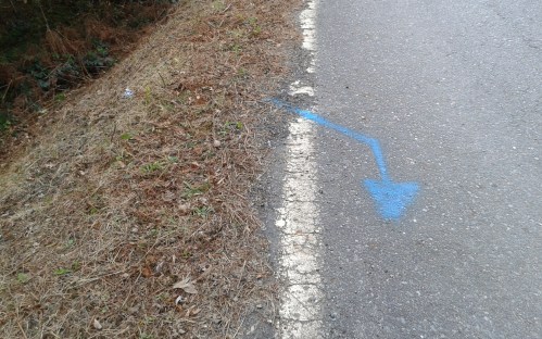 Obras de Acuaes en Lourizán.