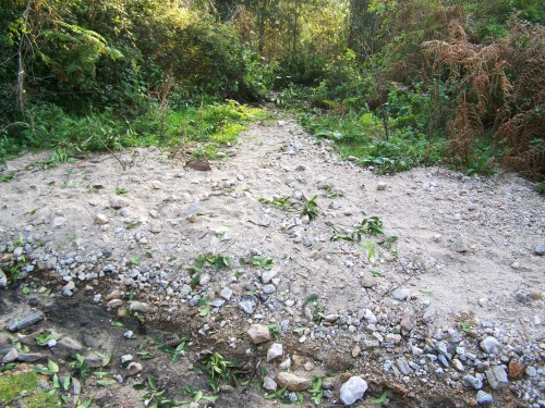 Verquidos vexetais na pista do Pituco.