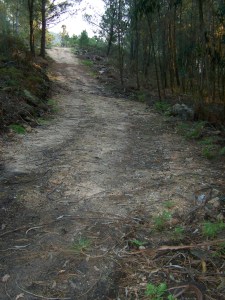 Pista paralela ao Pituco.