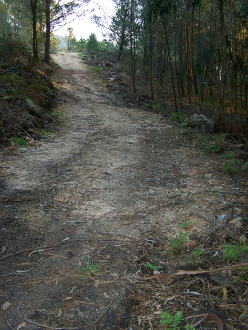 Pista paralela ao Pituco.