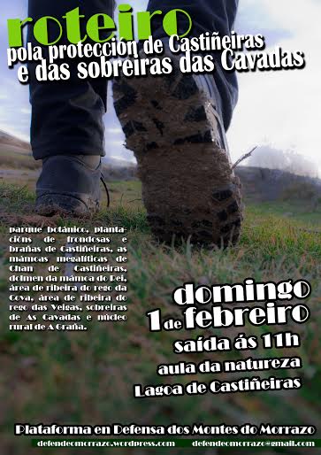 Roteiro por Castiñeiras