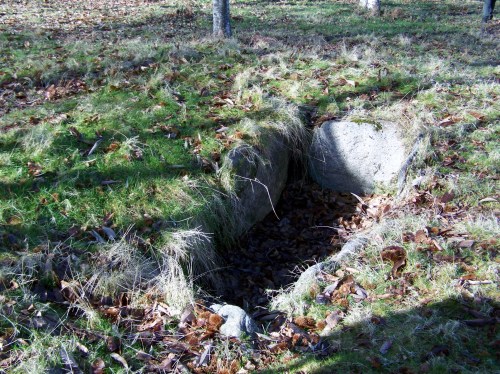 Andaina por Castiñeiras con Plataforma Montes do Morrazo.