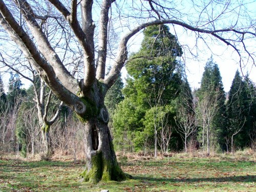 Andaina por Castiñeiras con Plataforma Montes do Morrazo.
