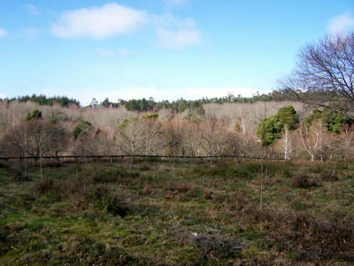 Andaina por Castiñeiras con Plataforma Montes do Morrazo.