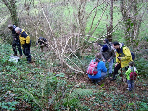 Nos montes de San Tomé de Piñeiro, Marín.