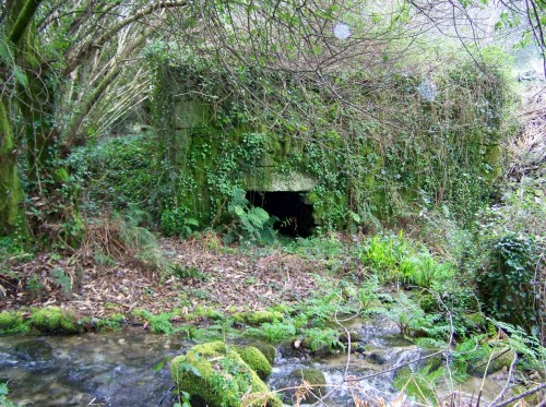 Nos montes de San Tomé de Piñeiro, Marín.