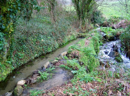 En Tomé de Piñeiro, Marín.