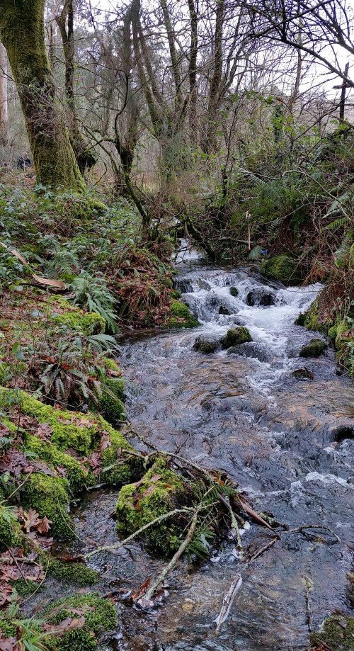 Andaina por Castiñeiras con Plataforma Montes do Morrazo.