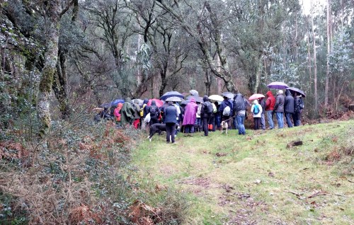 Andaina por Castiñeiras con Plataforma Montes do Morrazo.