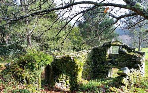 Andaina por Castiñeiras con Plataforma Montes do Morrazo.