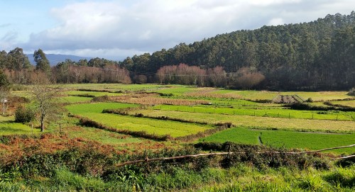 Andaina por Castiñeiras con Plataforma Montes do Morrazo.