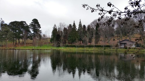 Andaina por Castiñeiras con Plataforma Montes do Morrazo.