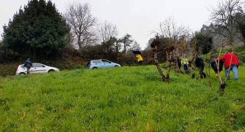 Logo da visita aos narcisos.