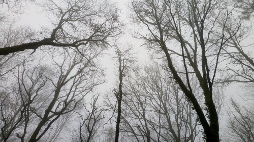 Montes de Cela, en Bueu.