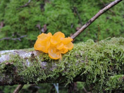 Foto de Helena Rodríguez.