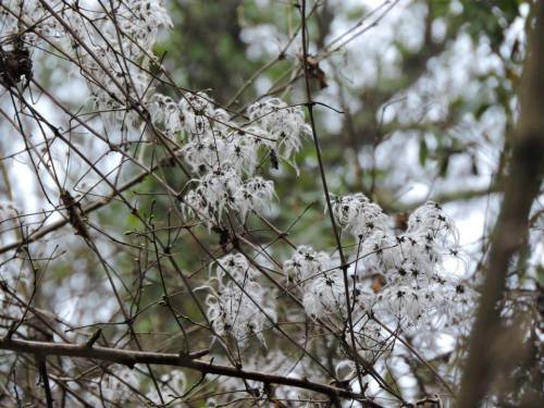 Foto de Helena Rodríguez.