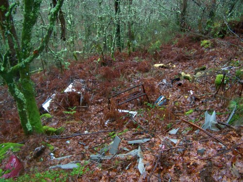 Lixo tirado no monte.