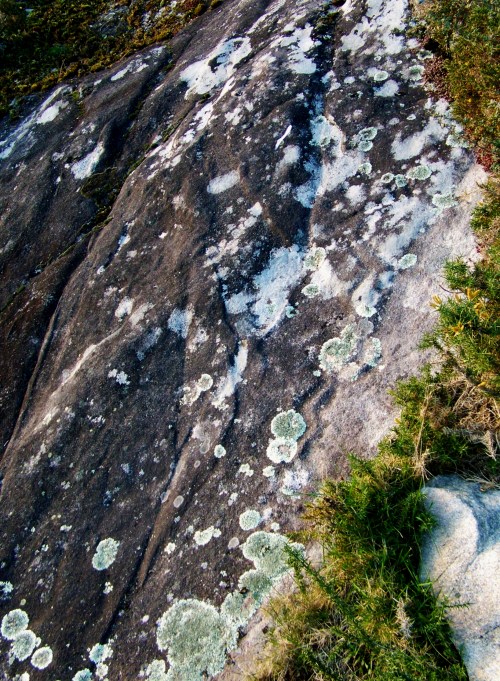 Petroglifos de Sete Camiños.