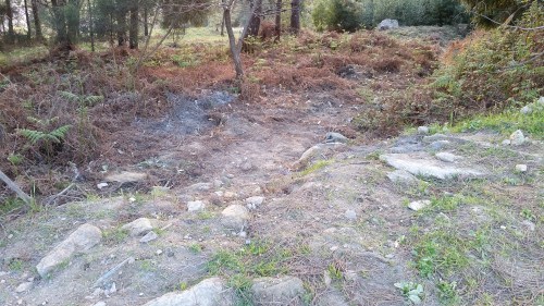 O vertido tóxico foi retirado.