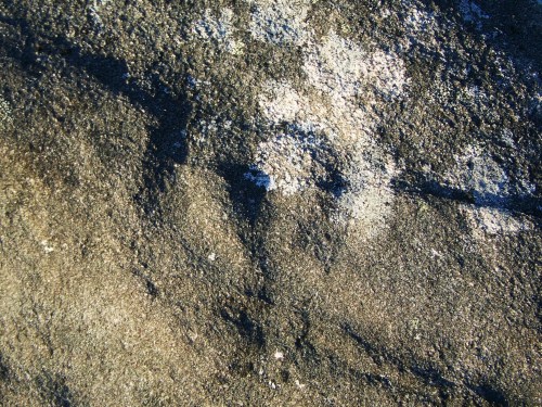 Figura circular nos petroglifos de Sete Camiños.