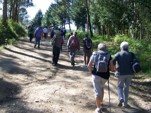 Roteiro pola protección do Monte Pituco (Pornedo).
