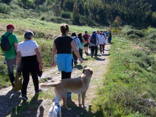 Roteiro pola protección do Monte Pituco (Pornedo).