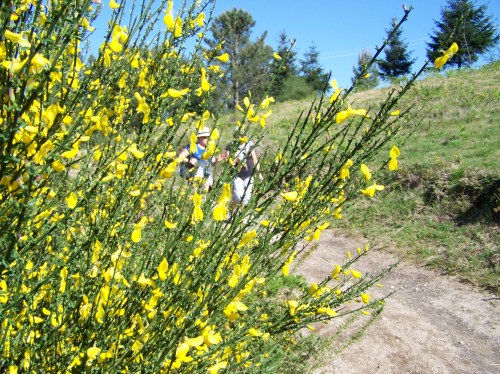 Roteiro pola protección do Monte Pituco (Pornedo).