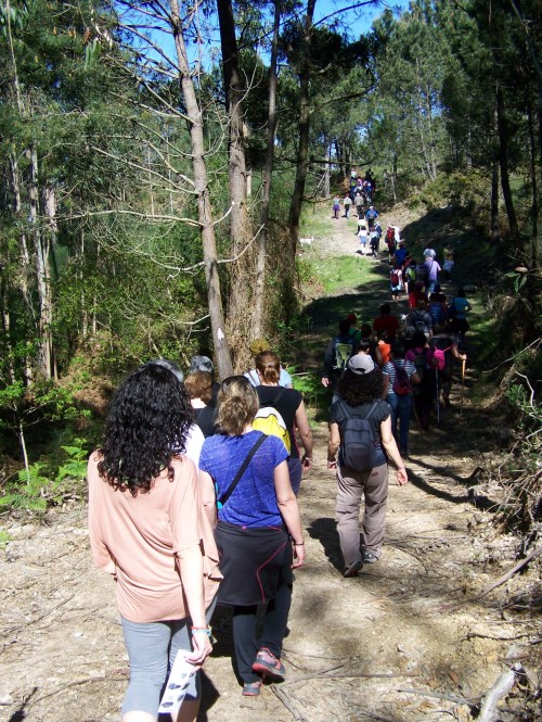 Roteiro pola protección do Monte Pituco (Pornedo).