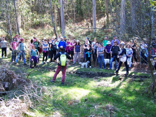 Roteiro pola protección do Monte Pituco (Pornedo).