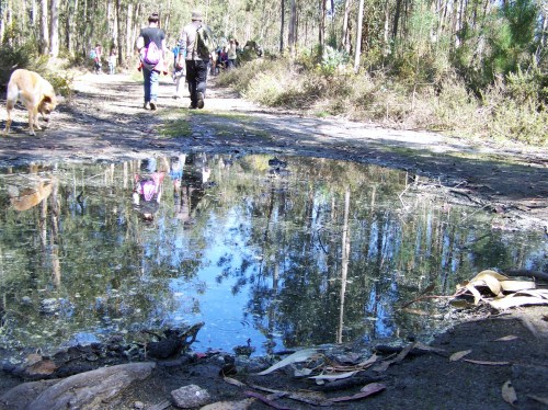 Roteiro pola protección do Monte Pituco (Pornedo).