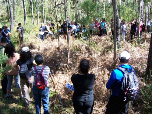 Roteiro pola protección do Monte Pituco (Pornedo).