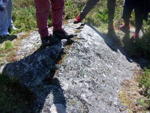 Roteiro pola protección do Monte Pituco (Pornedo).