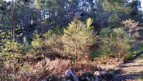 Outeiro de Cerqueira.