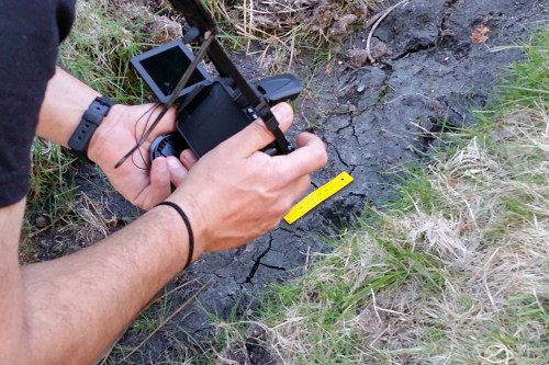 Pegadas de mamíferos.