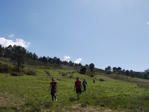 Foto de Cándido Martínez.