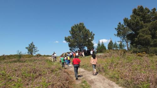 Imaxe de Xemelghost Nero.