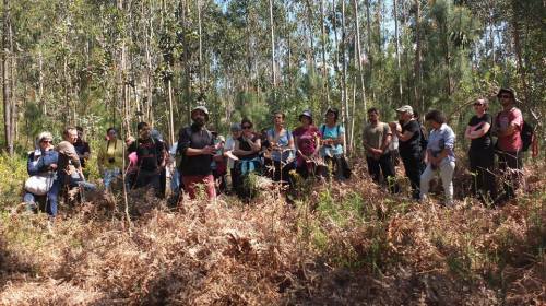 Imaxe de Xemelghost Nero.