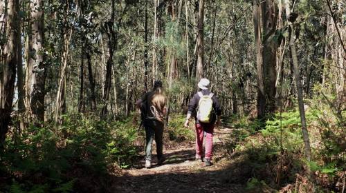 Imaxe de Xemelghost Nero.