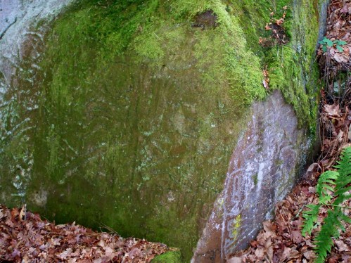 Visita ao Castro da Subidá con Ronsel.