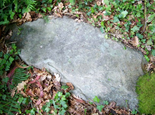 Visita ao Castro da Subidá con Ronsel.