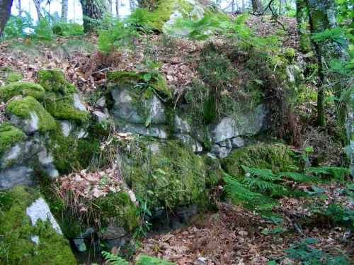 Visita ao Castro da Subidá con Ronsel.