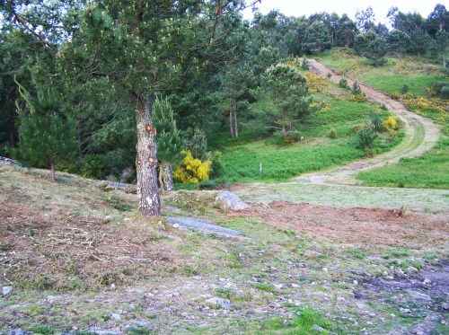 Desbroce arredor do conxunto rupestre do Pornedo.