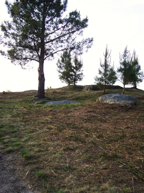 Desbroce arredor do conxunto rupestre do Pornedo.