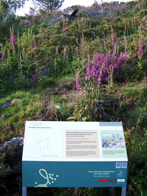 Panel informativo nos petroglifos de Sete Camiños.