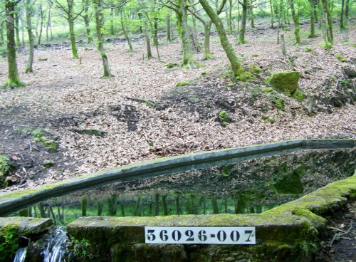 Roteiro polo Monte Gagán.