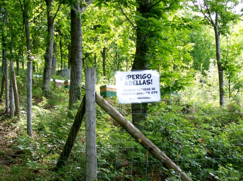 Roteiro polo Monte Gagán.